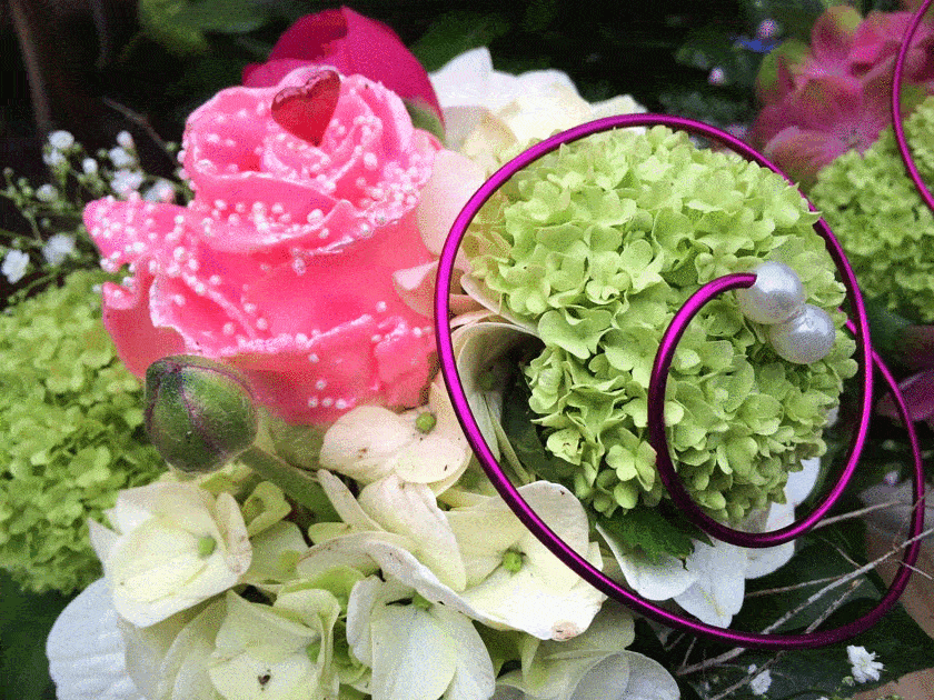 Blumenhof - Baumschule WILMS Blumenhof - Baumschule WILMS