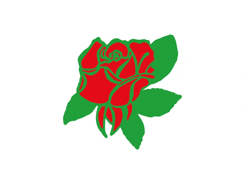 Blumenhof - Baumschule WILMS Blumenhof - Baumschule WILMS