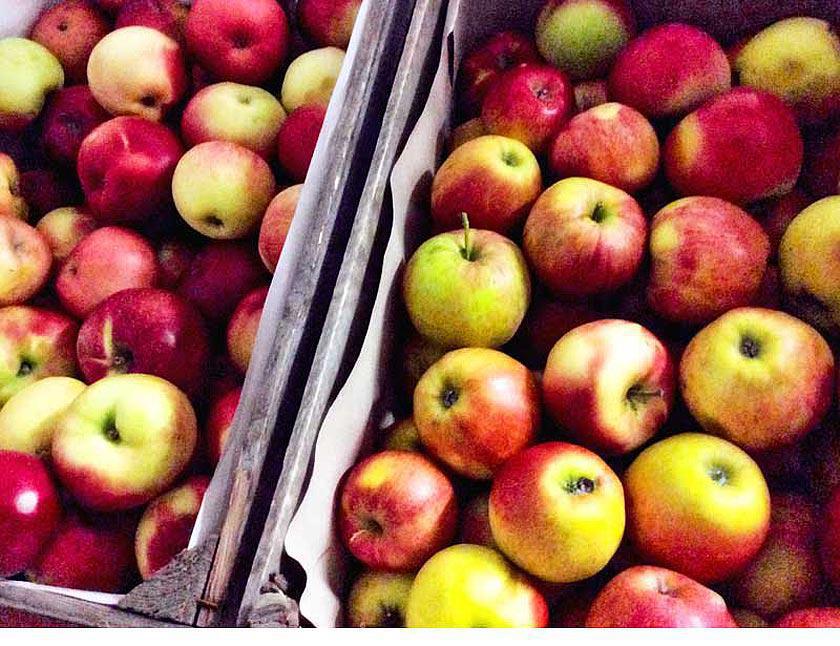 SCHLESIER am ZOB SCHLESIER am ZOB