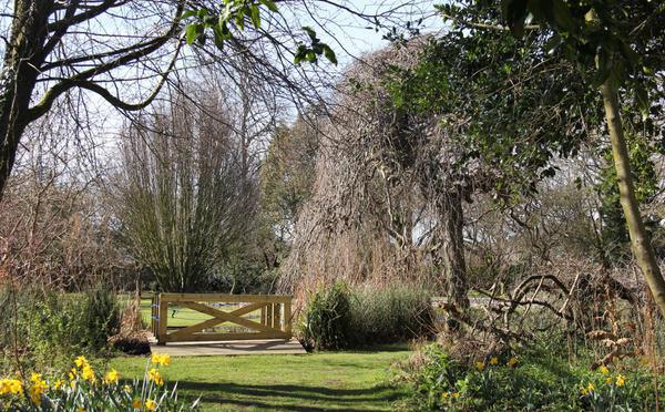 The Cruickshank Botanic Garden