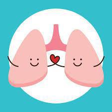 Dra. Gloria Pila Aranda Dra. Gloria Pila Aranda