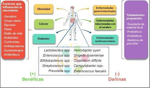 Microbiota Microbiota