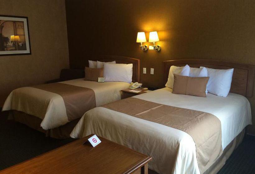 Best Western Cumbres Aeropuerto Best Western Cumbres Aeropuerto