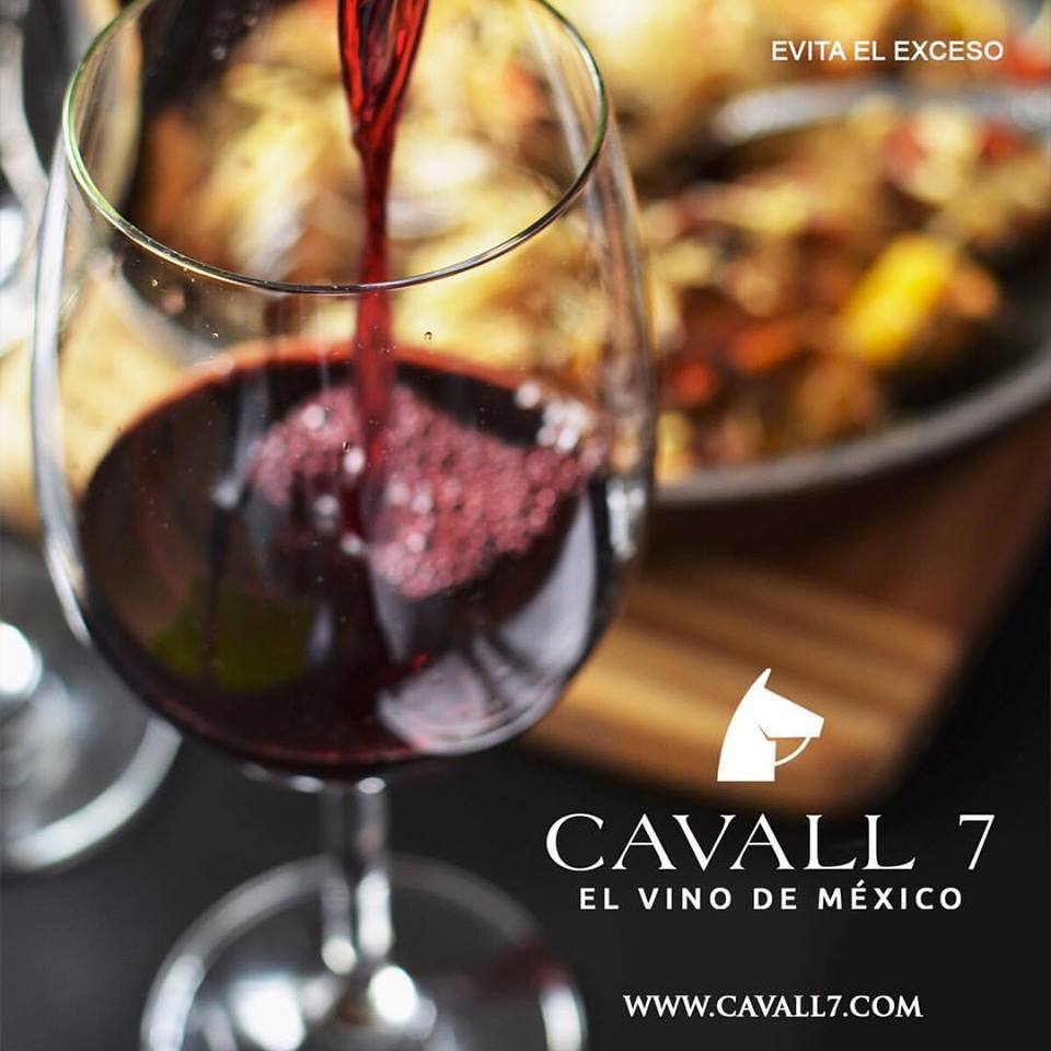 Cavall 7