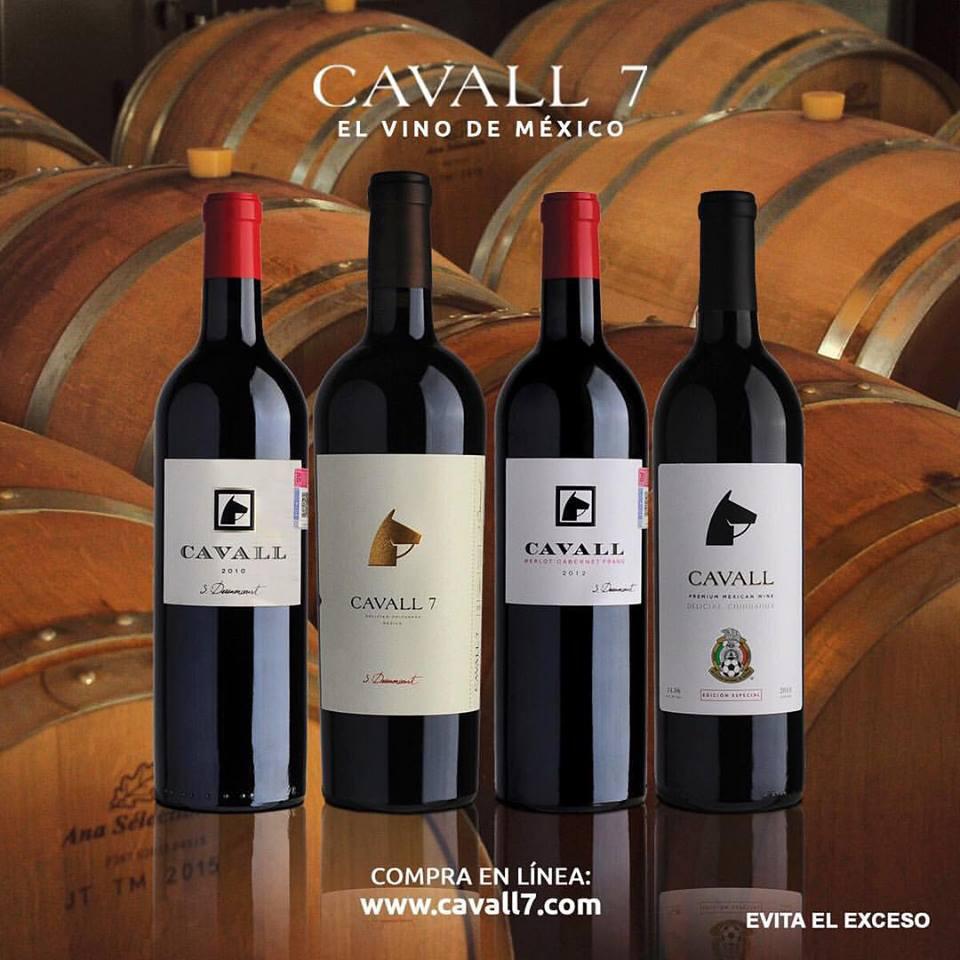 Cavall 7