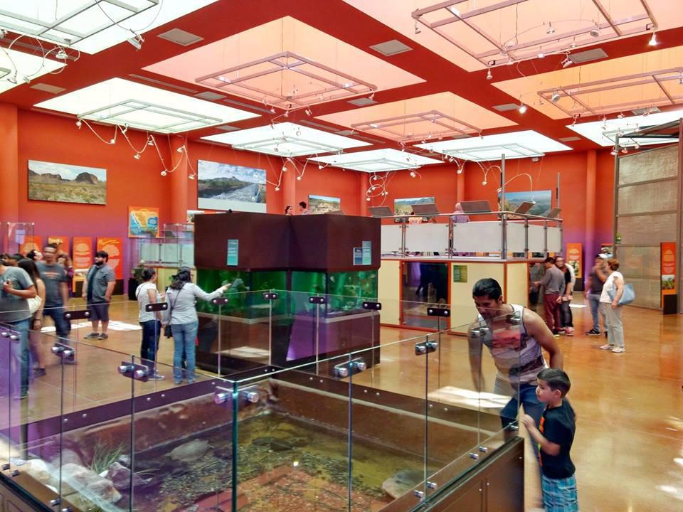 Museo del Desierto Chihuahuense