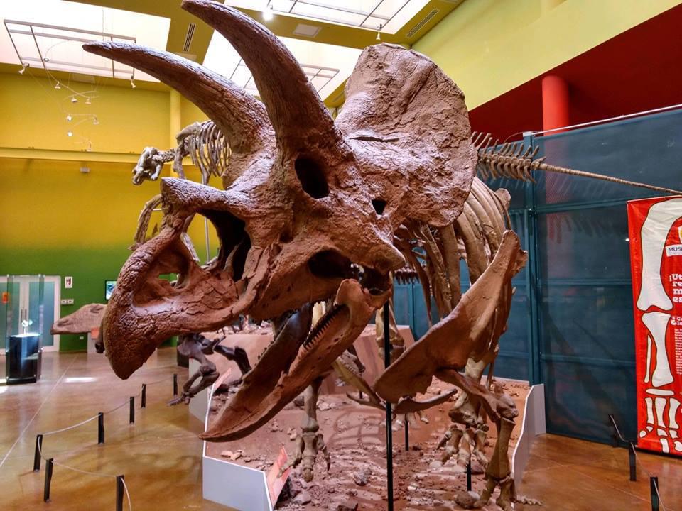 Museo del Desierto Chihuahuense