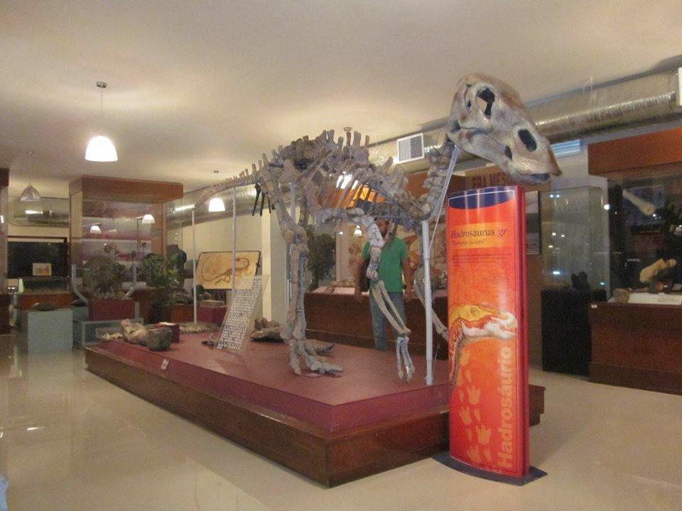 Museo de Paleontología de Delicias