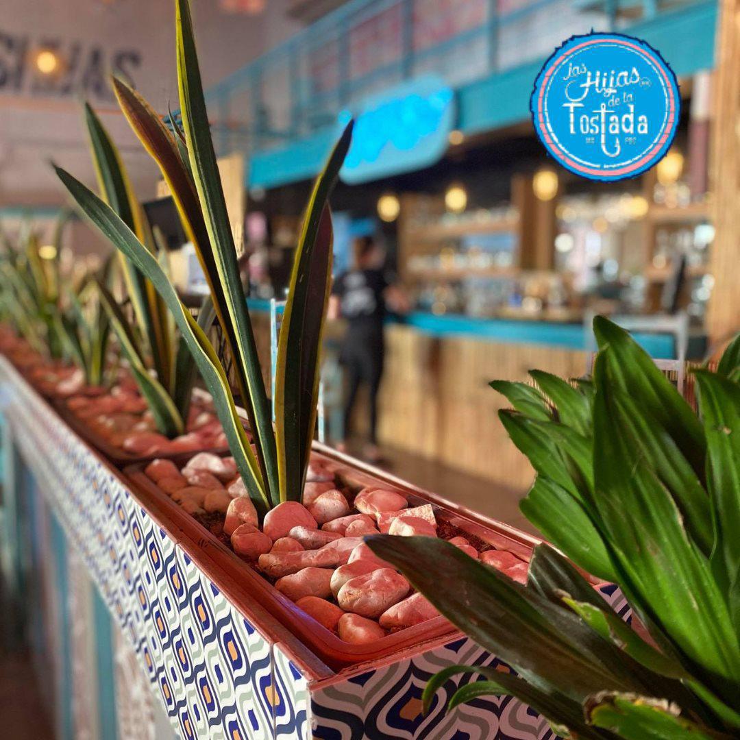 Las Hijas de la Tostada Chihuahua Las Hijas de la Tostada Chihuahua