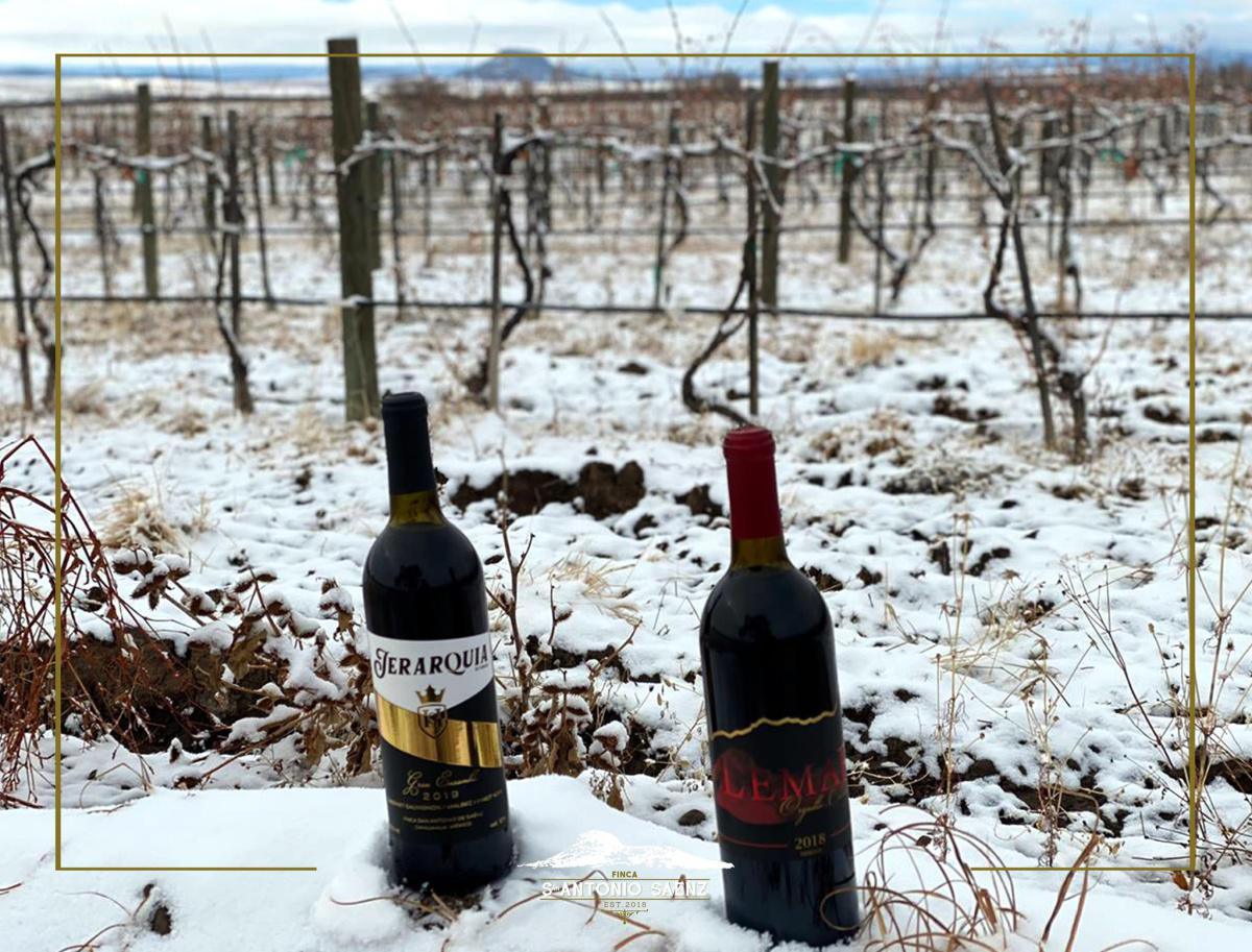 Finca San Antonio de Saenz Finca San Antonio de Saenz