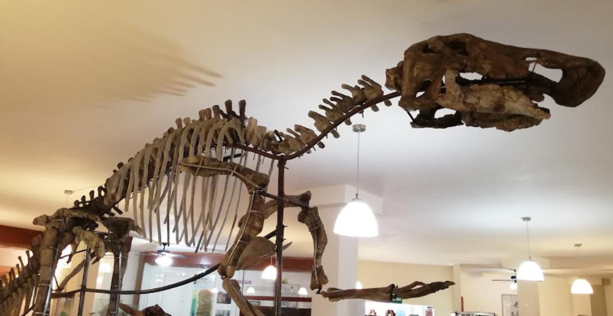 Museo de Paleontología de Delicias