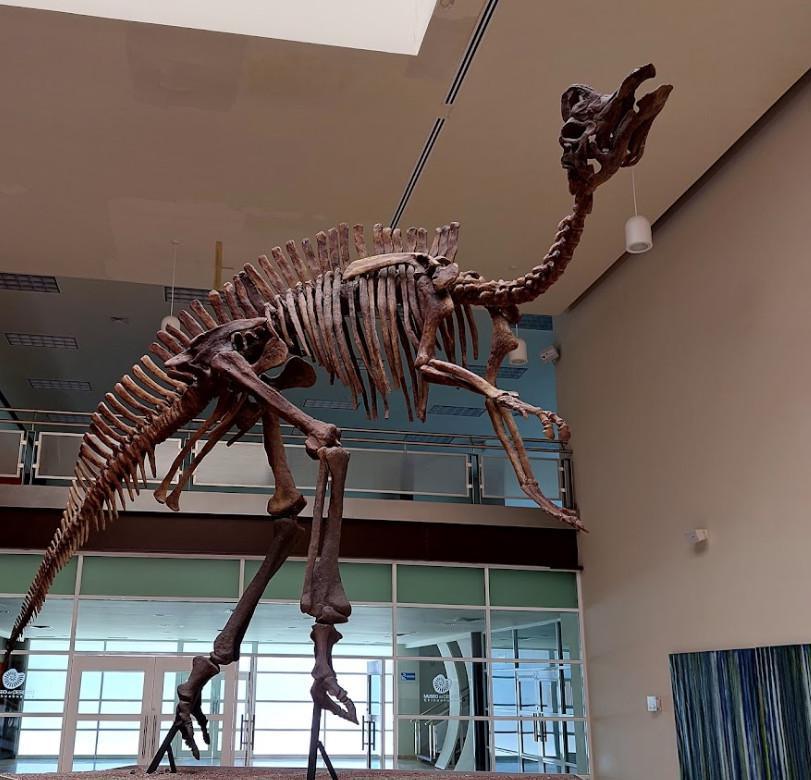 Museo del Desierto Chihuahuense (MUDECH)