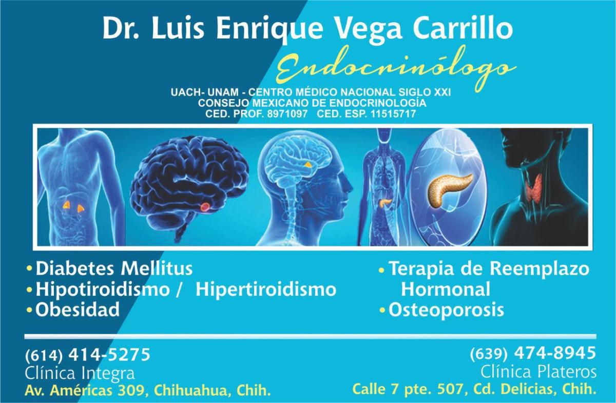 Dr. Luis Enrique Vega Carrillo Dr. Luis Enrique Vega Carrillo