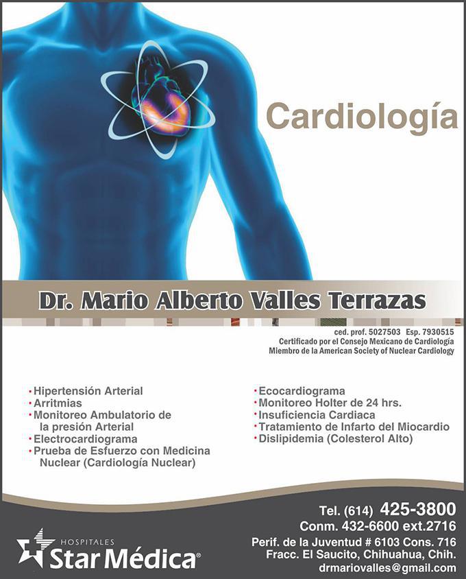 Dr. Mario Alberto Valles Terrazas