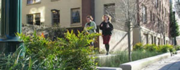 Bioswales