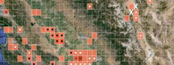 Invasive Species Management