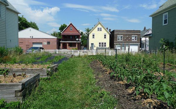 Adopt-a-Vacant-Lot Toolkits