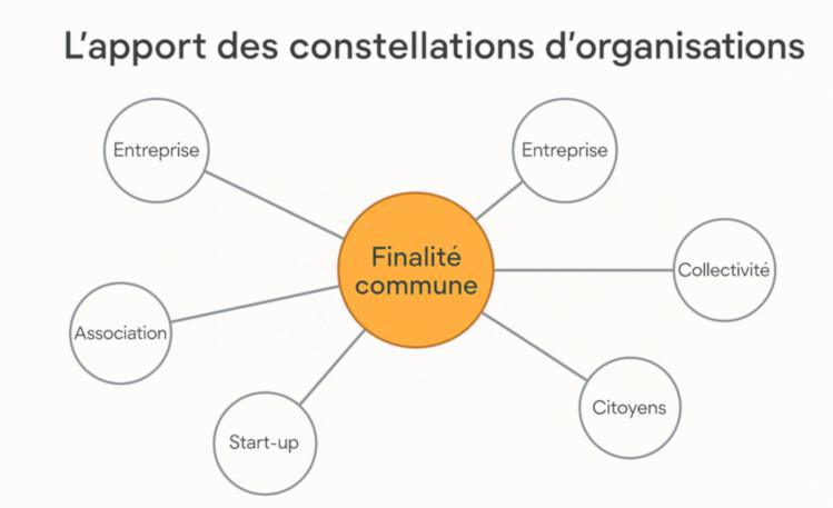 L'apport des constellations d'Organisation L'apport des constellations d'Organisation