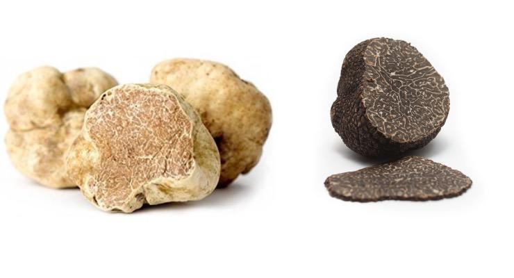 Plantin Kaviari Wishes You A Yummy Christmas Plantin Kaviari Wishes You A Yummy Christmas