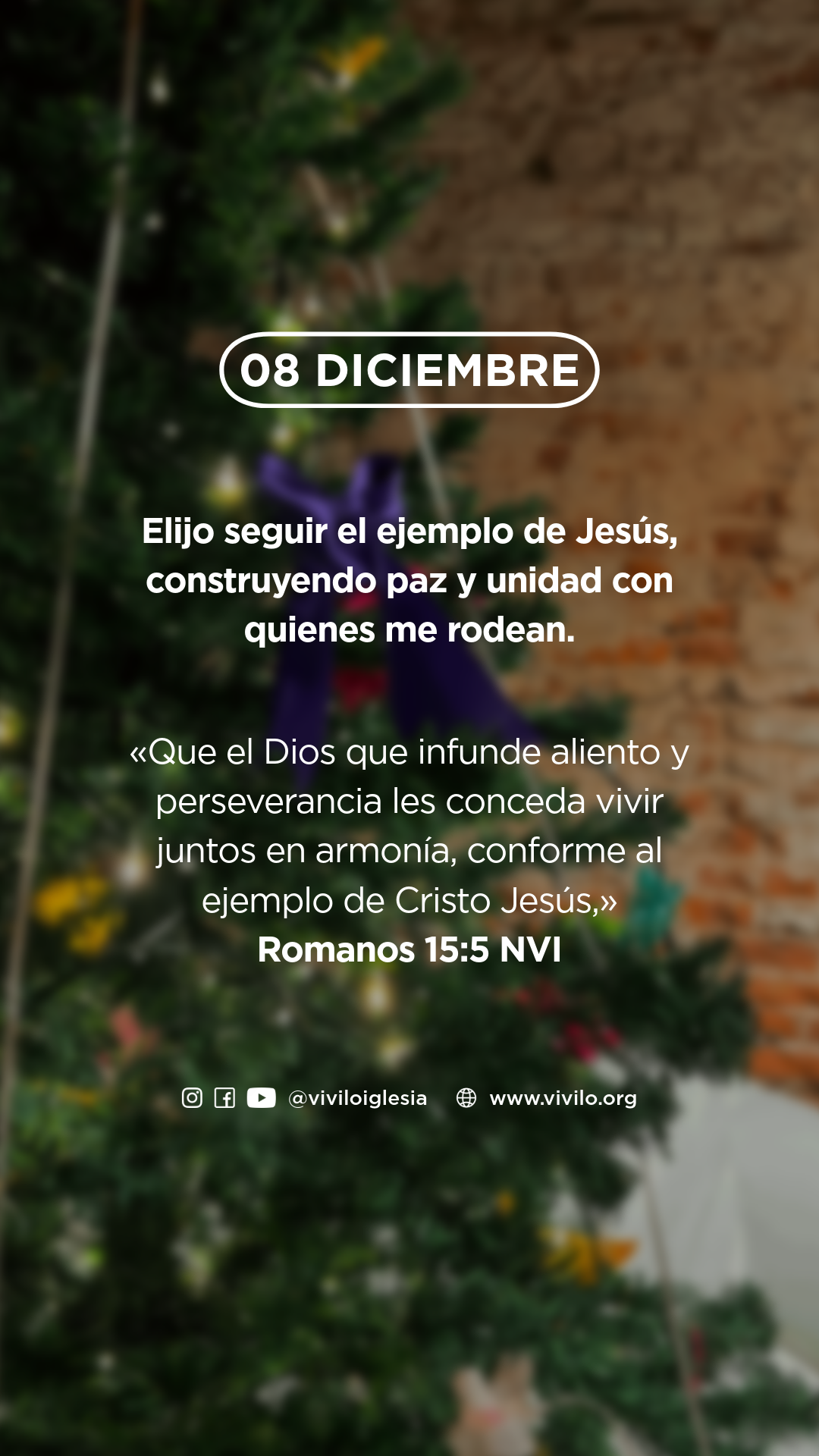 Mensaje diario-8-08diciembre