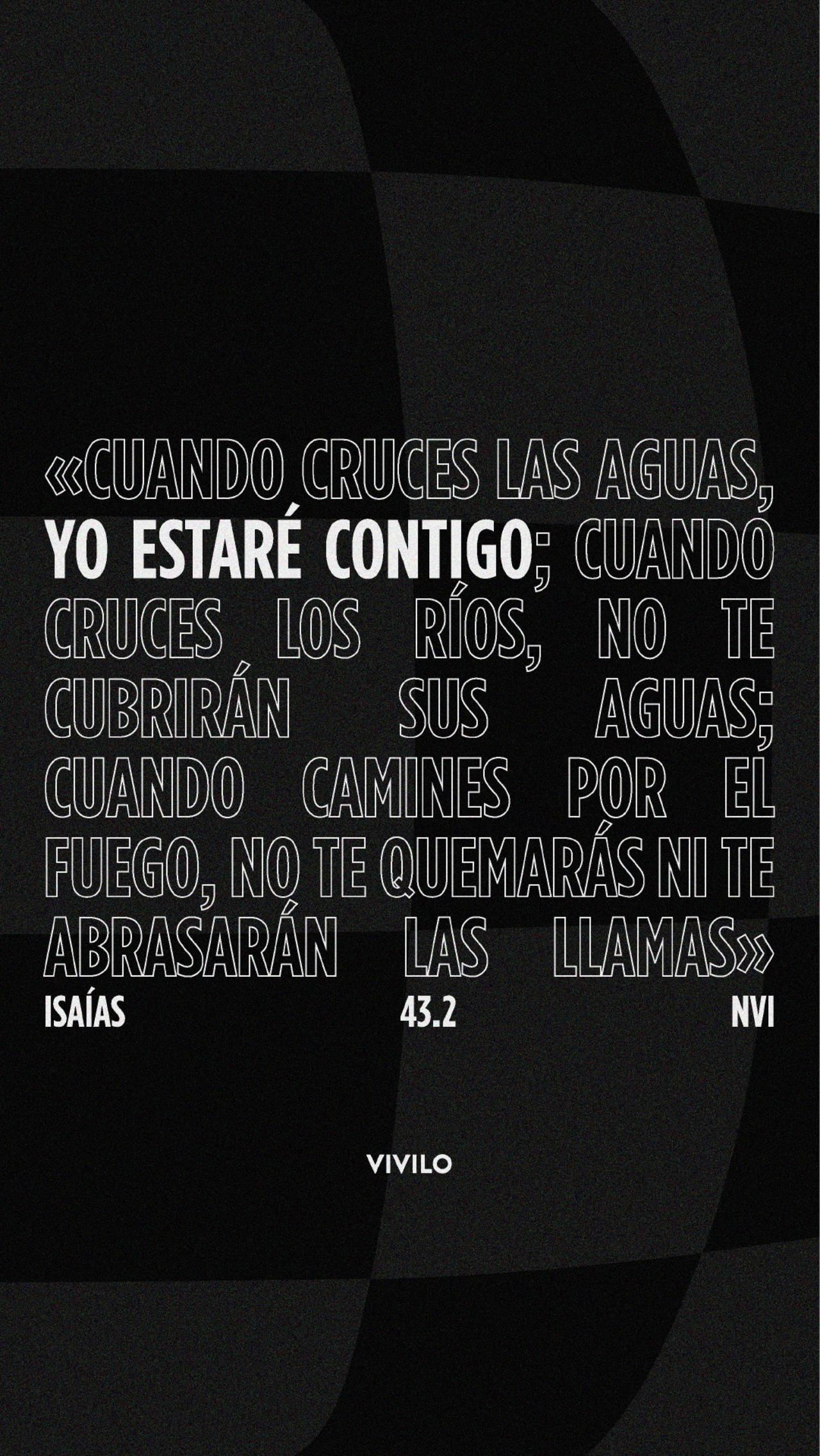 NO-ABANDONES_2