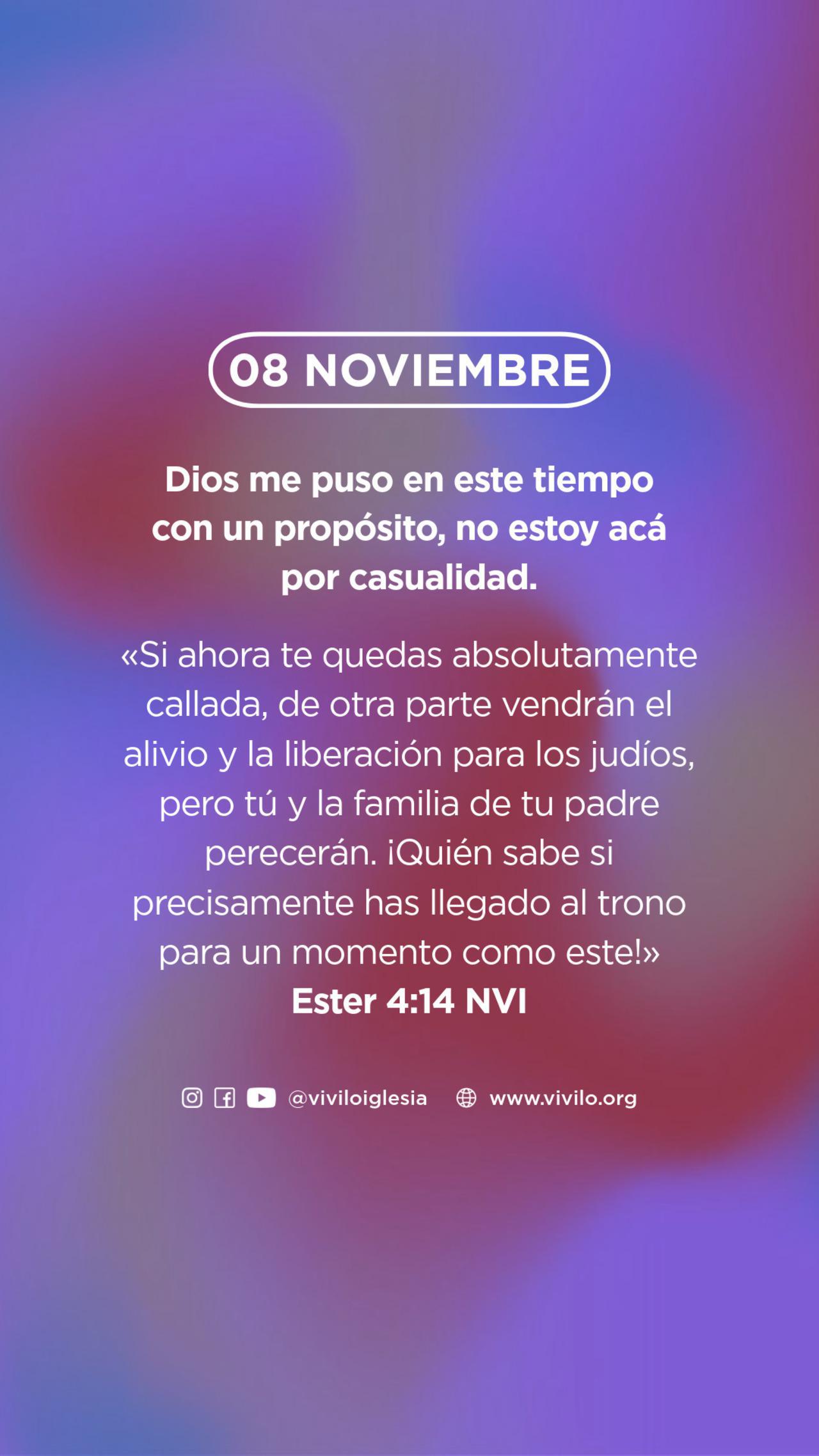 Mensaje diario-8-08noviembre