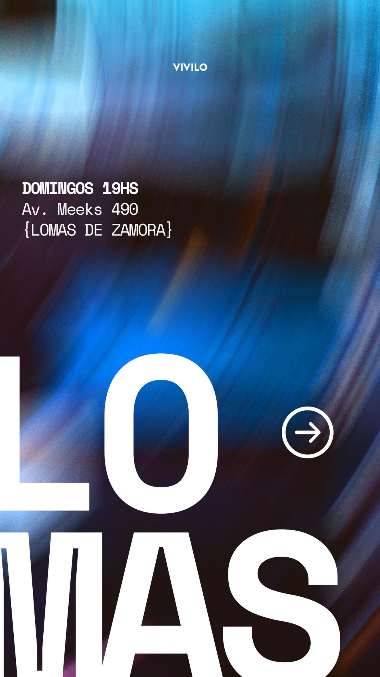 LOMAS copia