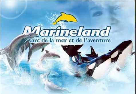 Offre spéciale au parc MARINELAND Offre spéciale au parc MARINELAND