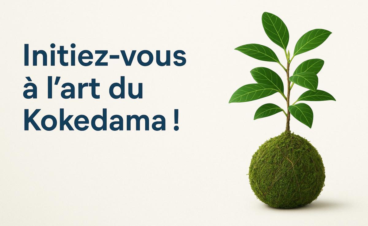 Initiez-vous à l’art du Kokedama !