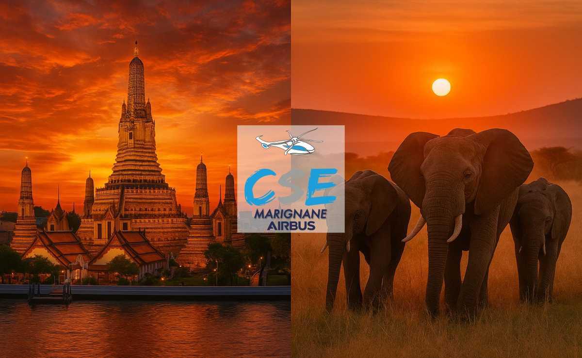 Entre savane africaine et temples thaïlandais