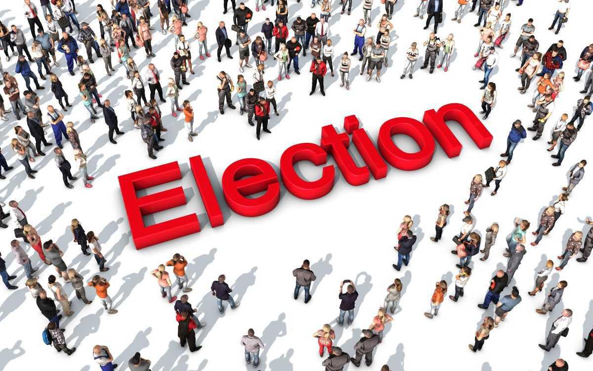 Élections MSAE
