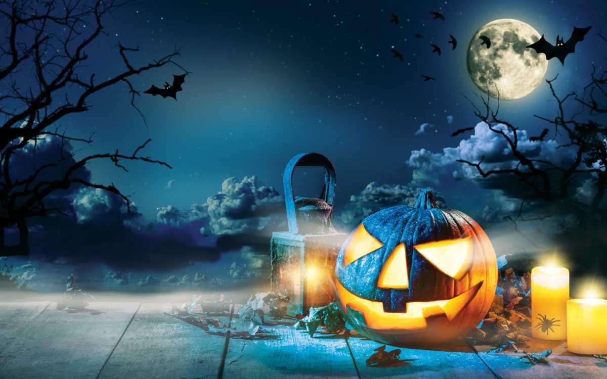 🎃 Animation Restauration spéciale Halloween