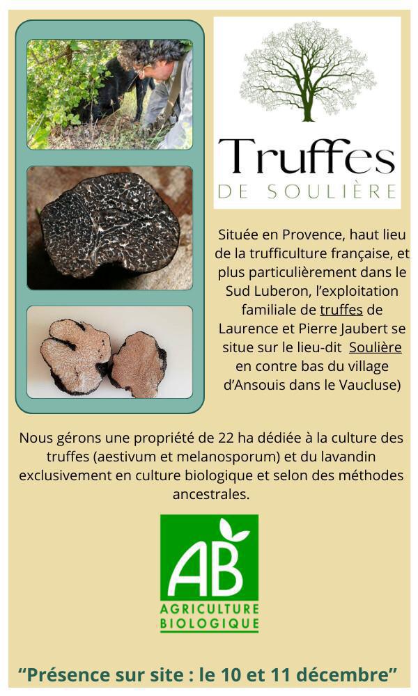 Le Marché de Noêl arrive dans votre CSE