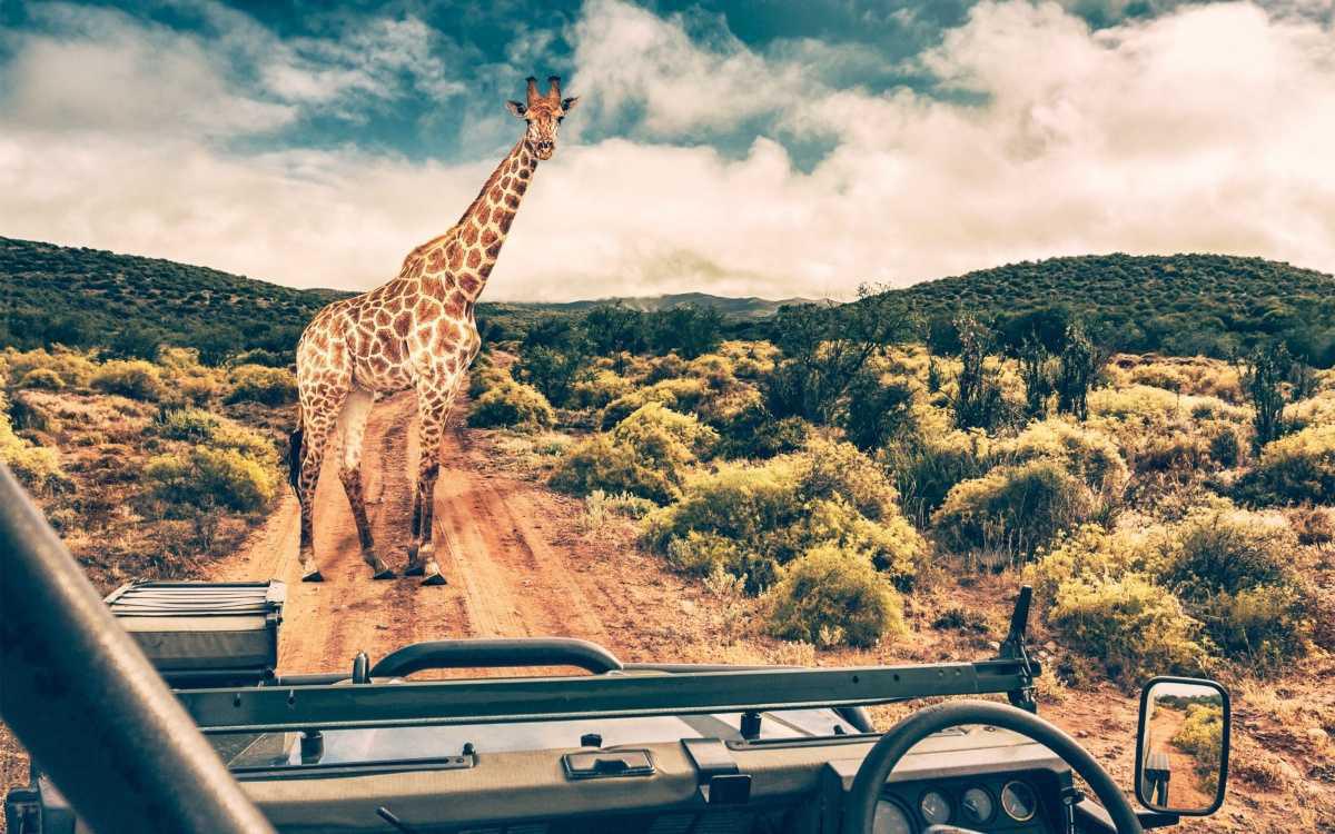 Évasion Sauvage à Peaugres