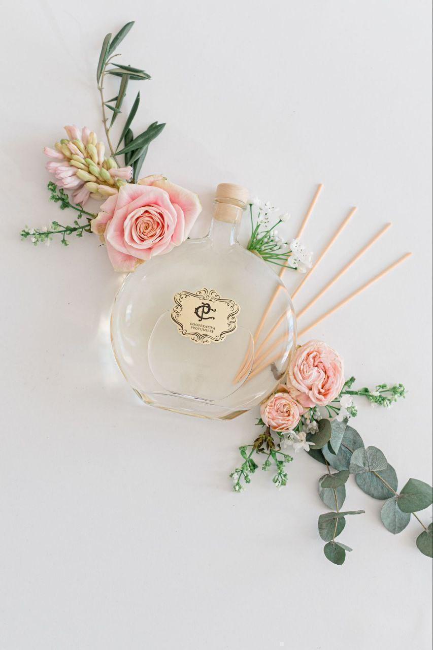 L'actualité de la coop du 16 au 20 février 2026 L'actualité de la coop du 16 au 20 février 2026