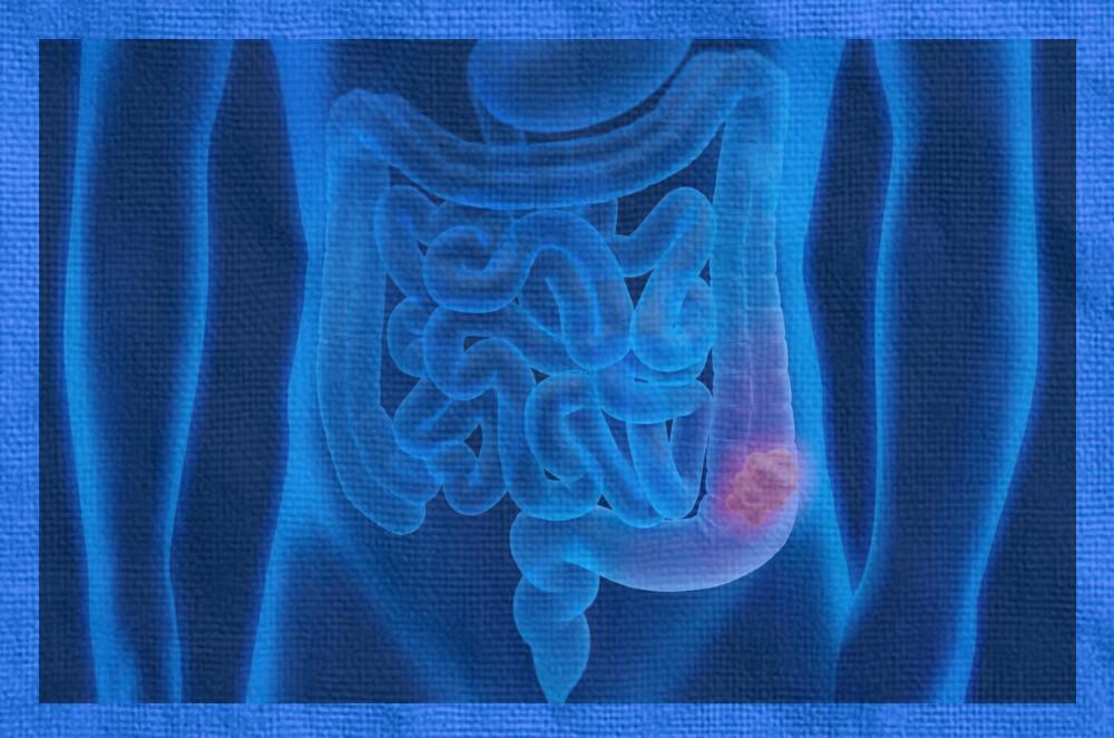 L'actualité de la Coop du 9 au 13 Mars 2026