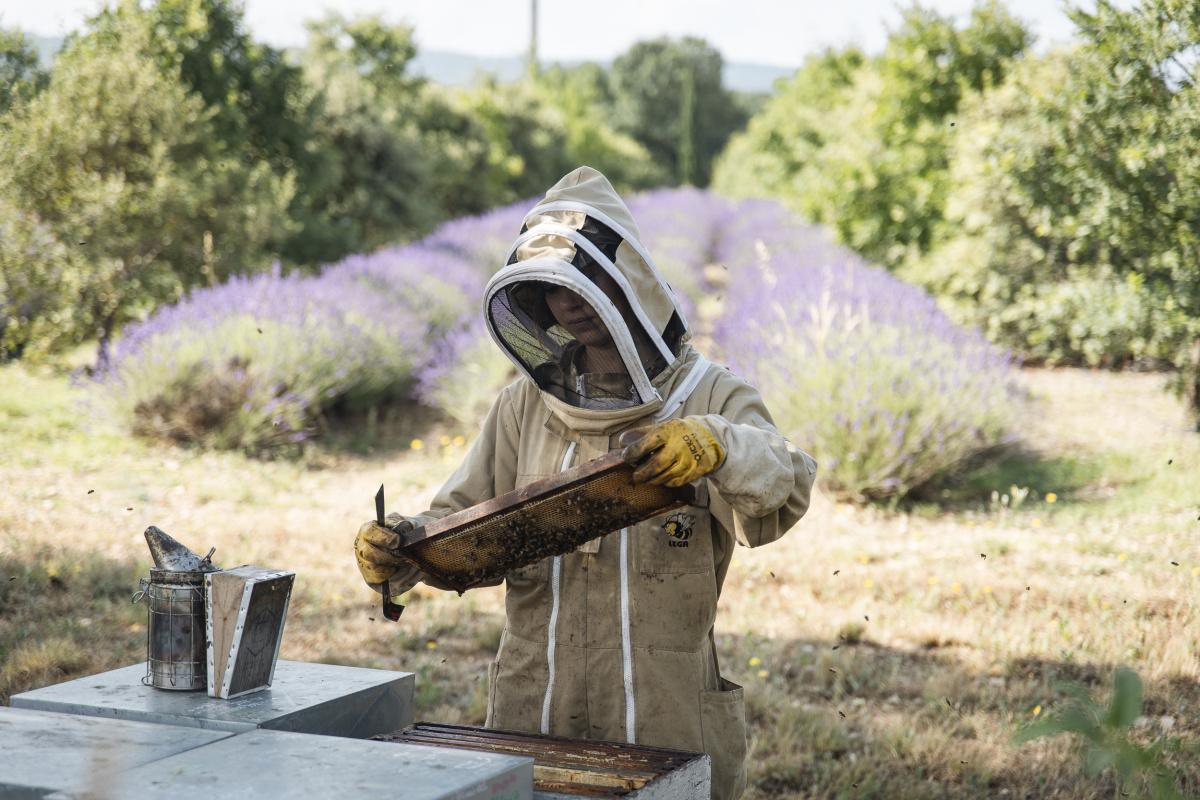 Les offres de la COOP du 26 au 30 Octobre 2026