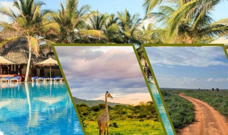 Séjour et Safari au Kenya