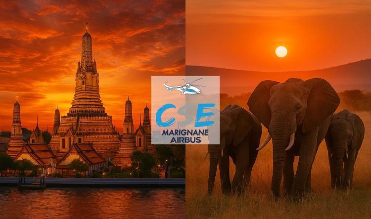 Entre savane africaine et temples thaïlandais