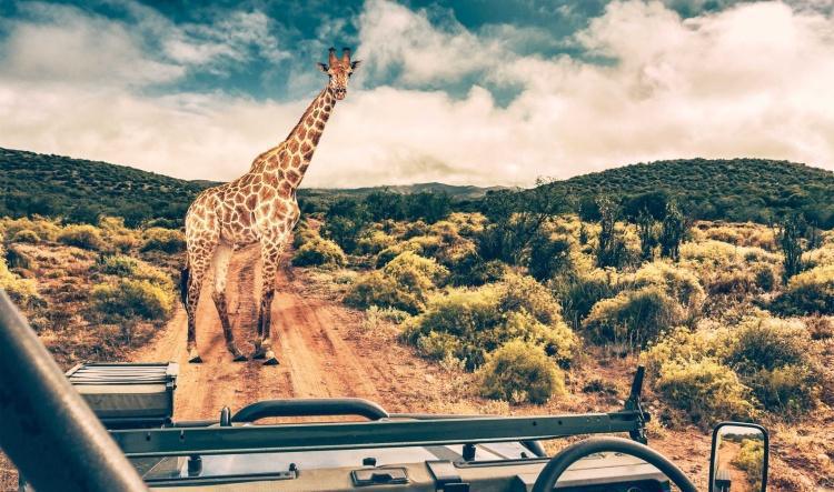 Évasion Sauvage à Peaugres