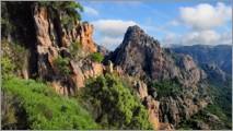 WHY CORSICA ?
