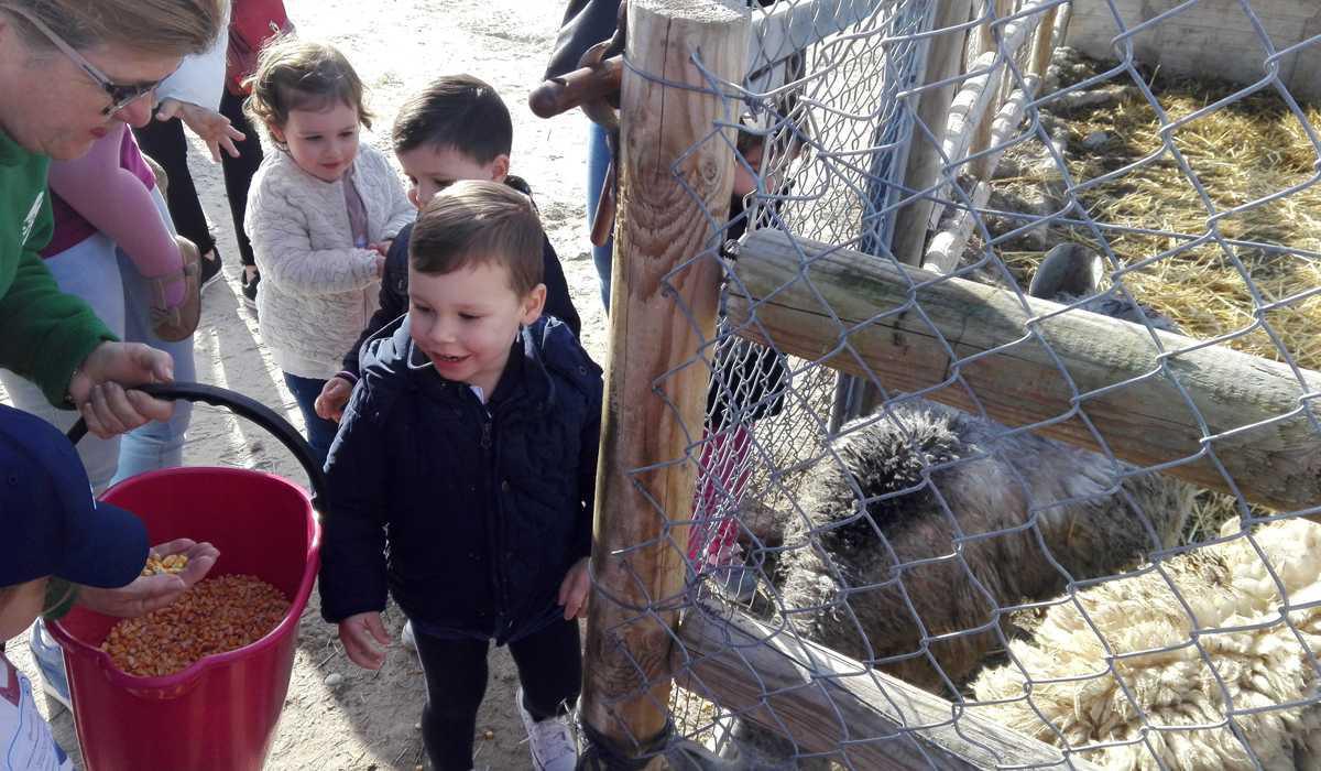 Los alumnos y alumnas de la E.I. Municipal “Garabatos”, han visitado la Granja Escuela “La Ventosilla”