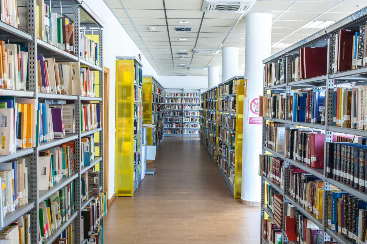 La Biblioteca Pública Municipal Elio Antonio de Nebrija dispone de un servicio de préstamo virtual