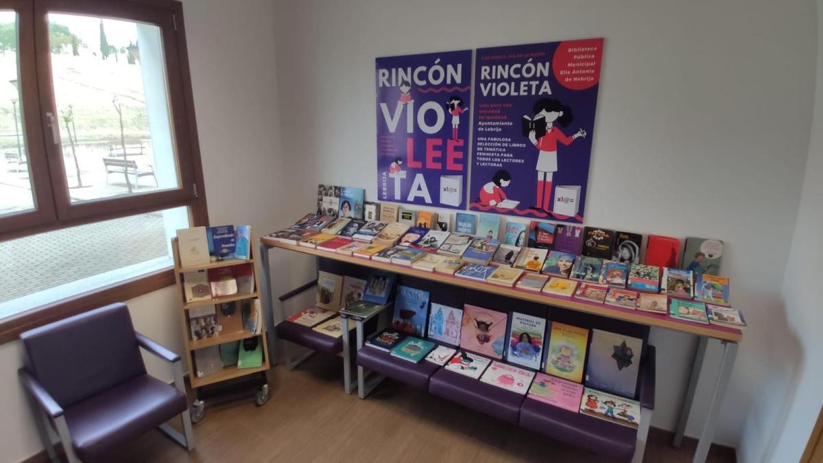 La Biblioteca Municipal Elio Antonio de Nebrija dispone de un Rincón Violeta libros de temática feminista