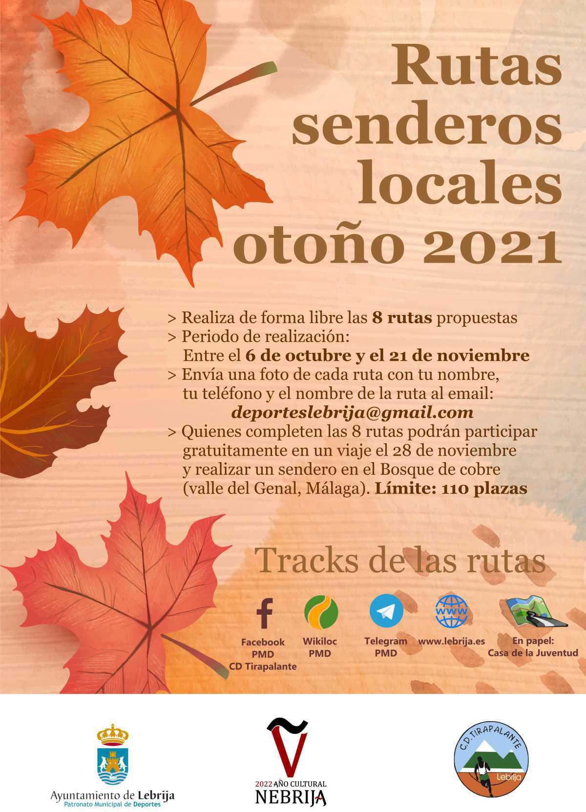 El Patronato Municipal de Deportes impulsa la creación de una Escuela Deportiva de Marcha Nórdica El Patronato Municipal de Deportes impulsa la creación de una Escuela Deportiva de Marcha Nórdica