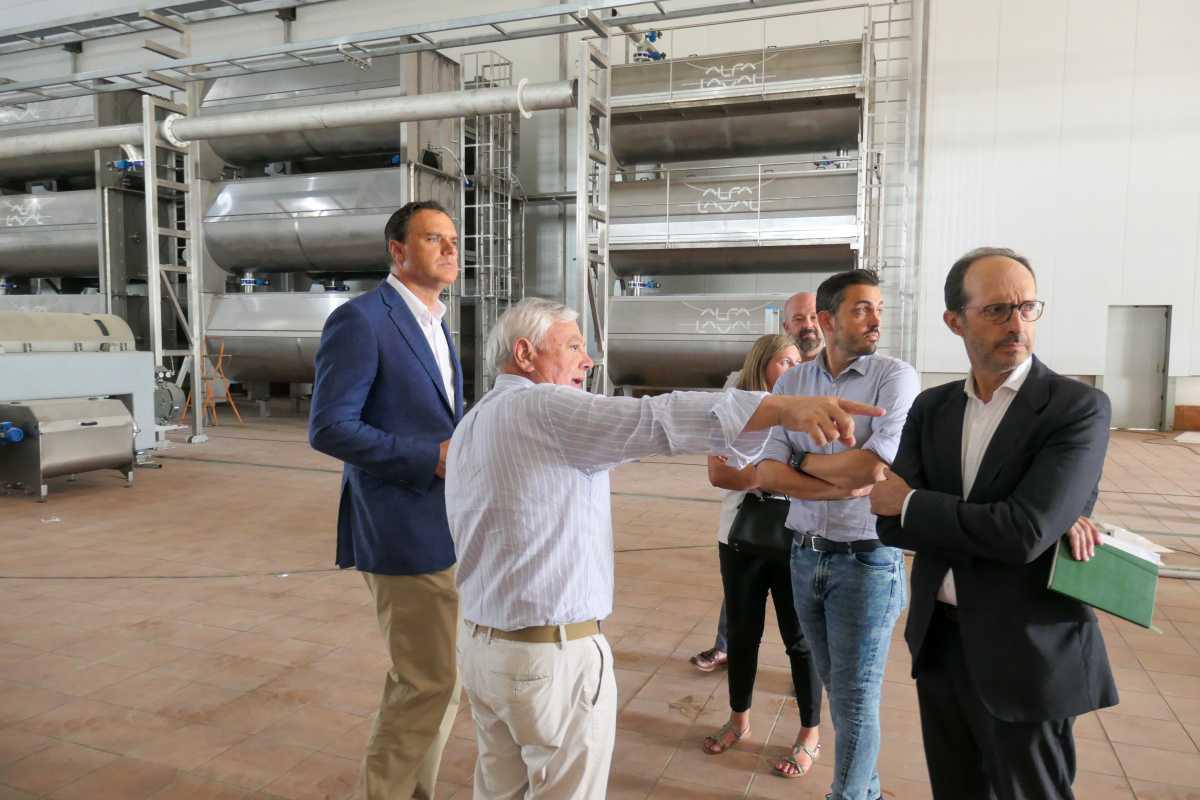 Algosur prevé finalizar la construcción de una almazara en Lebrija en el último trimestre de este año