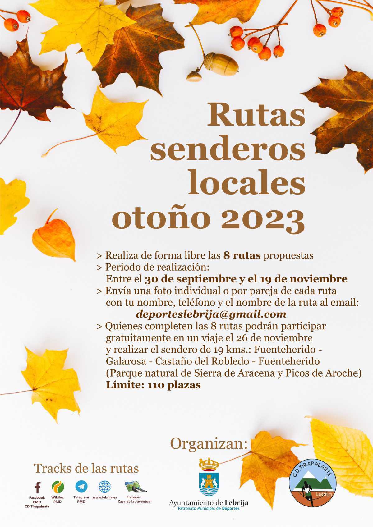 Nueva edición de la actividad deportiva “Senderismo en otoño 2023” 