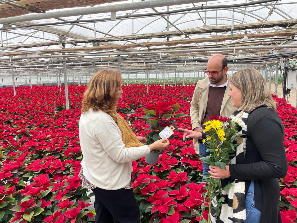 La empresa lebrijana Flores de Lebrija se encuentra en plena campaña de producción