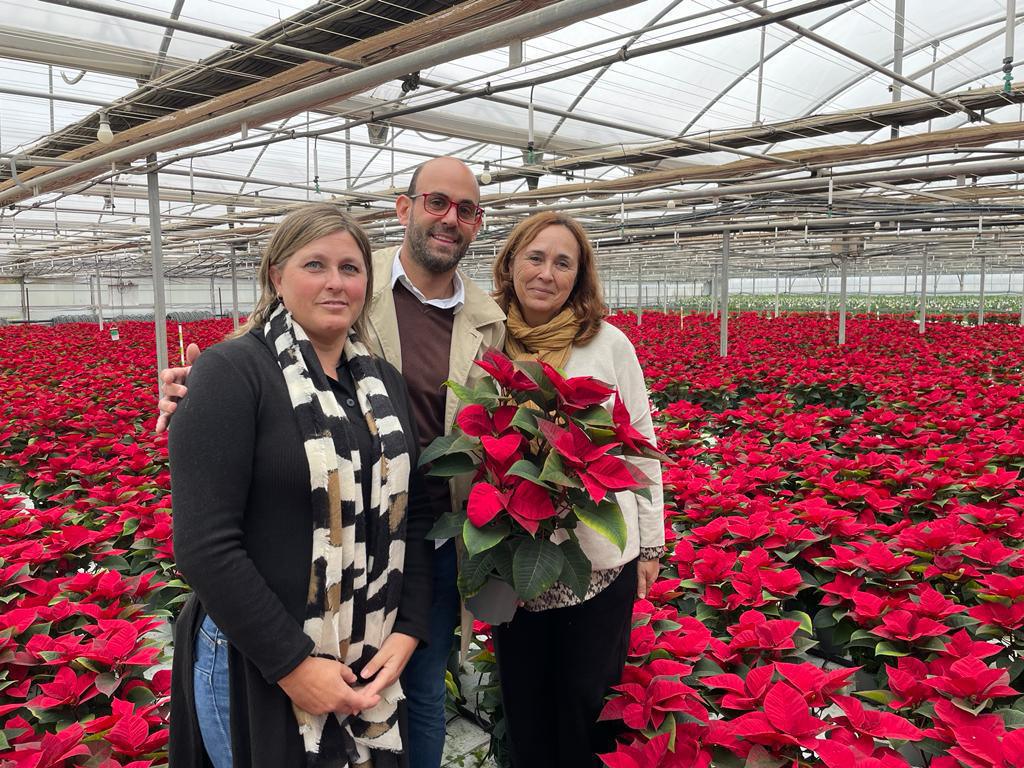 La empresa lebrijana Flores de Lebrija se encuentra en plena campaña de producción