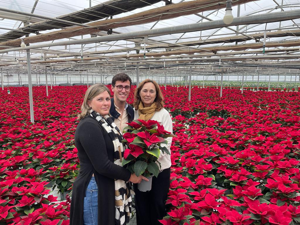 La empresa lebrijana Flores de Lebrija se encuentra en plena campaña de producción